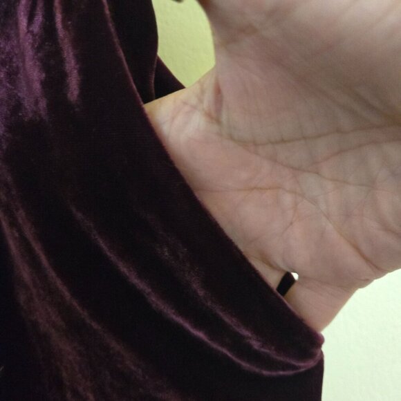 Banana Republic Sour Cherry Velvet Blazer Hayden Pull On Pants Size 2/M - Picture 10 of 15